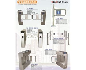 临沂智能通道摆闸系列